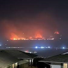 Historic Lahaina Town Devastated by Wildfire, Residents Flee to Water