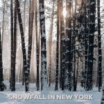 Discover the Enchanting Snowfall in NYC