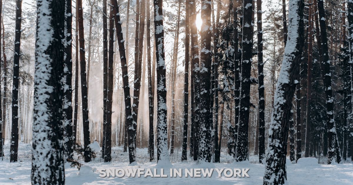 Discover the Enchanting Snowfall in NYC